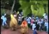 OTIGBA UMUNOHA (SIR COMMODORE 2) - Ije Amara Gi | Igbo Masquerade and Cultural Songs