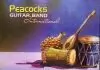 Peacocks Guitar Band International - Okpa Aku Erieri | Latest Igbo highlife Songs