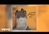 Phyno - Agu