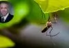 Stanley Okorie - Mosquito