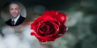 Stanley Okorie - For Your Love