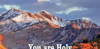 Bro. Ugo Okiyi ft. GOGC Choir - You Are Holy