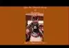 Igba Ike Musical Group - Igba Ike Ogene
