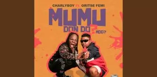 Charly Boy - Mumu Don Do