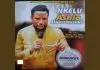 Bishop Ezeribe Onwukwe - Kee Wu Nke Anyi