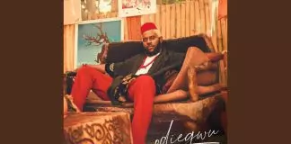 Odumodublvck ft. Ojogwu tochukwu And Reeplay - Who That