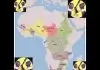 Egede Zambezi HT Jolly 2007 (Vintage)
