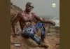 Kwabena Kwabena ft. Samini - Adult Music