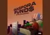 Speed Darlington – Diaspora Funds