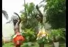 Benji Igbadumhe - Avhale Emomorakia