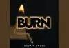 Abigail Omonu ft. Godwin Omonu - Burn