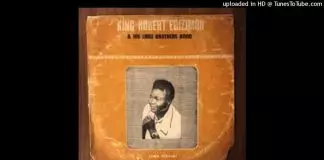 King Robert Ebizimor - Iwa