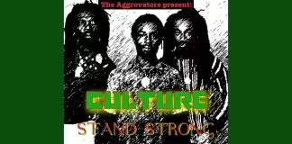 Culture - Skill Play
