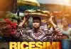 Bro Destiny - Ricesimigiogio