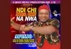 Apinjo Oduma Okija - Taking Back Naija
