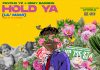 PsychoYP ft. Remy Baggins - Hold Ya