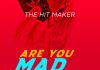 The Hit Maker - Are You Mad Or Something?
