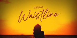 Shenseea - Waistline