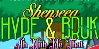 Shenseea - Hype & Bruk