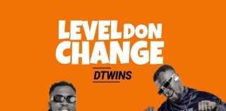 Dtwins - Level Don Change