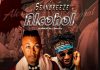 Seanbreeze ft. Sparkle Tee - Alcohol