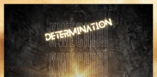 Determination - Kwechiri