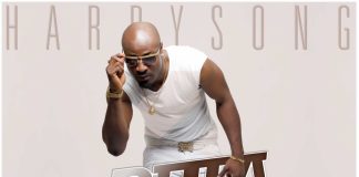 Harrysong - Story