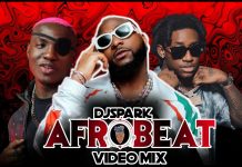 DJ Spark – 2024 Best of Best New AfroParty Mix