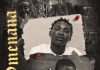 Apacino Mulla ft. Jboy - Omenana