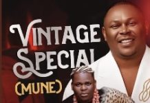 Anyidons – Vintage Special (Mune)